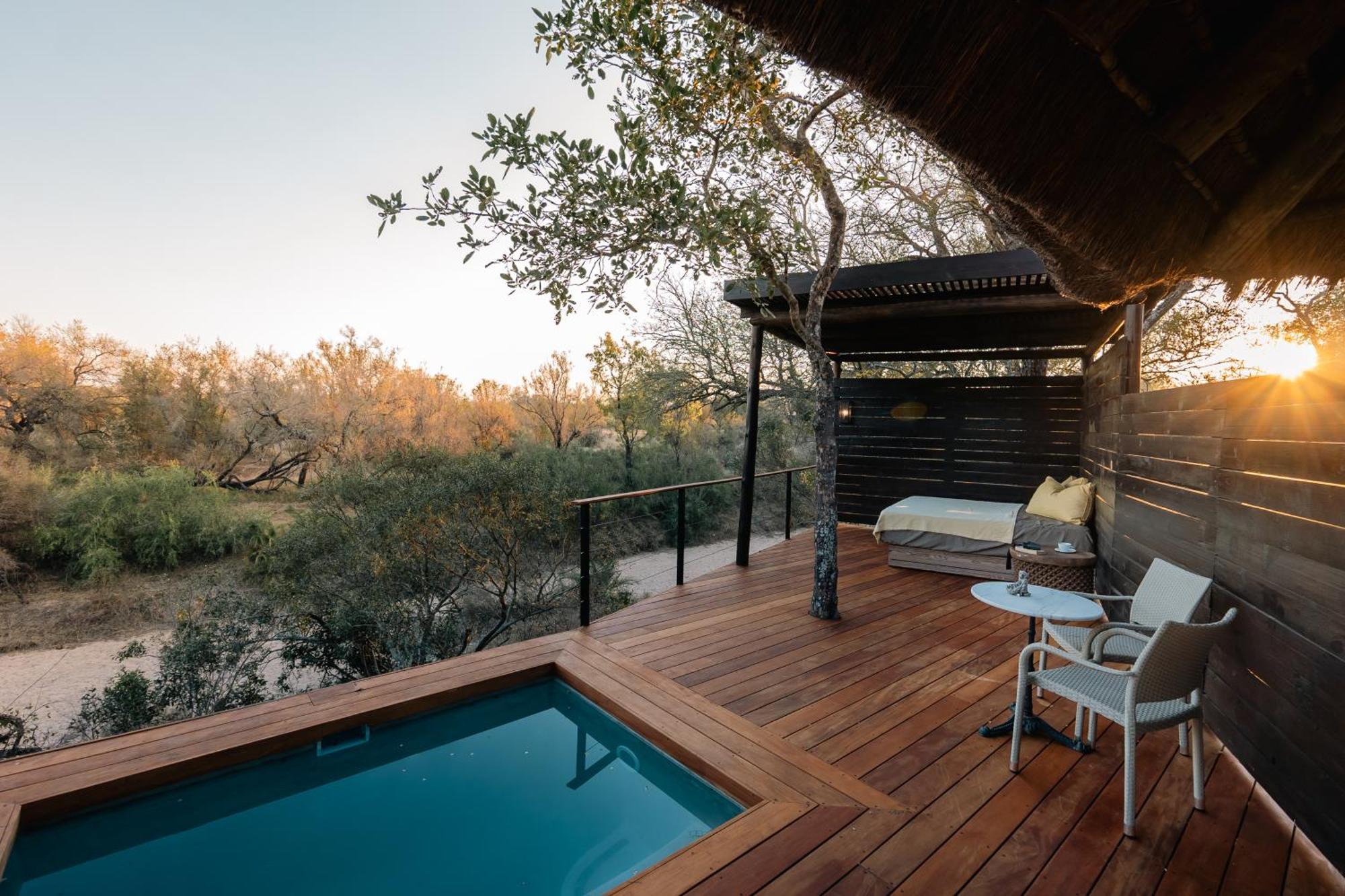 Thornybush Simbambili Lodge เขตอนุรักษ์พันธุ์สัตว์ป่าซาบีแซนด์ ภายนอก รูปภาพ