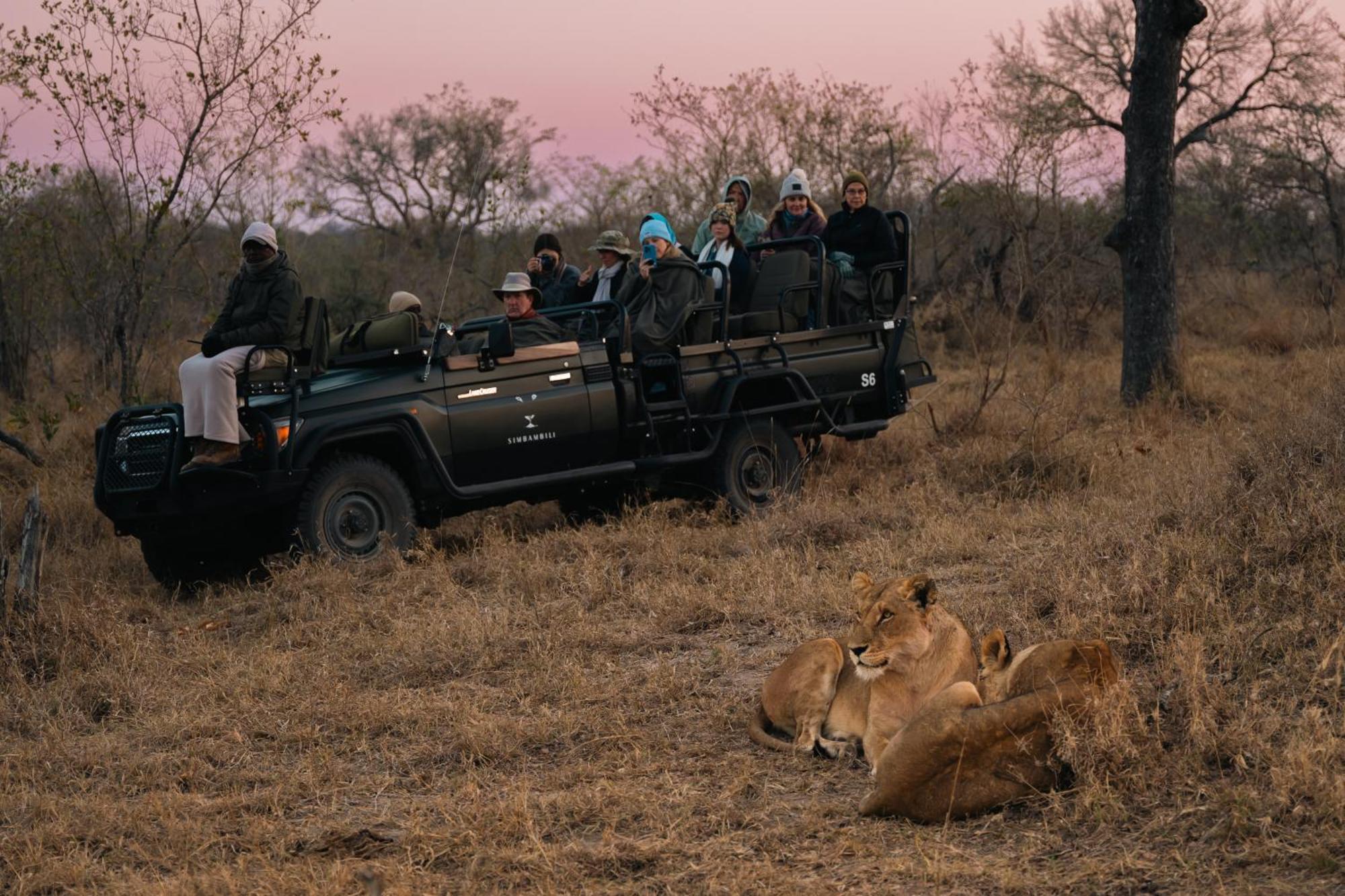 Thornybush Simbambili Lodge เขตอนุรักษ์พันธุ์สัตว์ป่าซาบีแซนด์ ภายนอก รูปภาพ